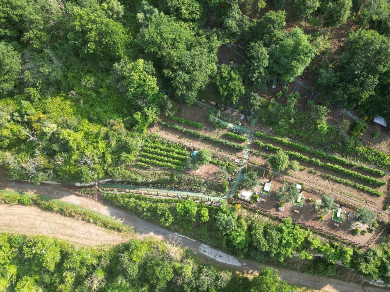 Agriturismo Le Fontane - Lago Di Bolsena Villa Grotte di Castro Exteriör bild